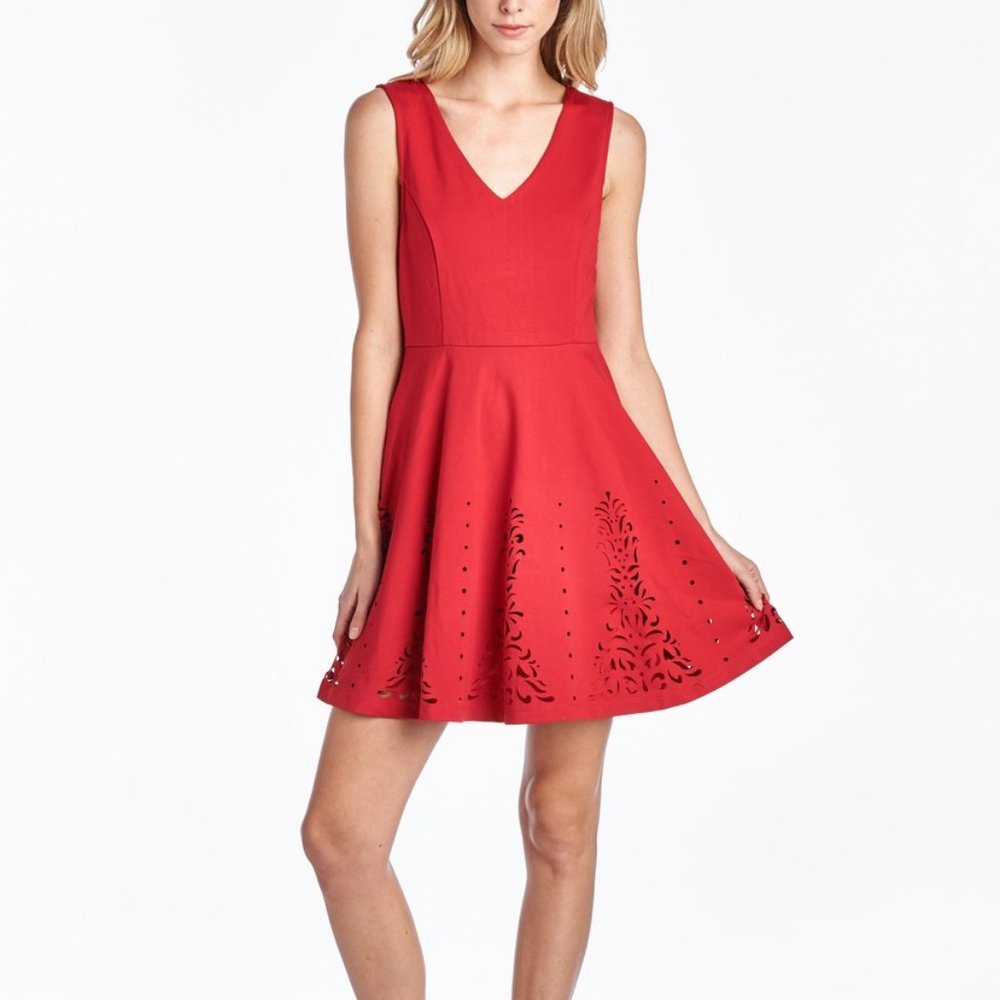 BLACK SWAN Fit and Flare Dress
